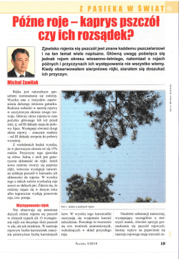 " P&oacute;źne roje - kaprys pszcz&oacute;ł czy ich rozsądek