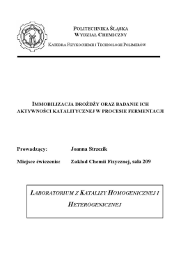 prowadzący: dr inż. Joanna Strzezik, sala 210/C