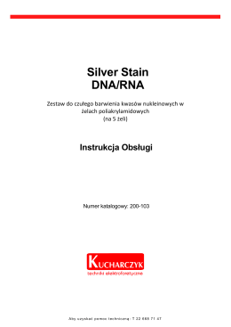 Silver Stain DNA RNA instrukcja obsługi