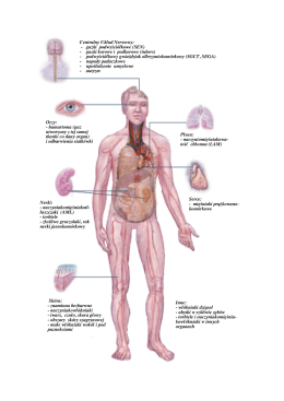 3. Informacja III.