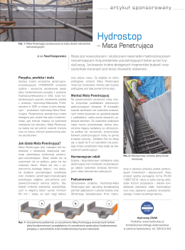 dr inż. Paweł Grzegorzewicz Posypka, powłoka i mata