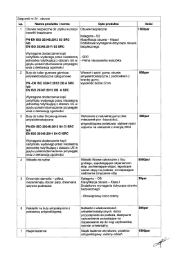 Załącznik nr 24 - obuwie