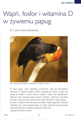 Wapń, fosfor i Witamina W żywieniu papug
