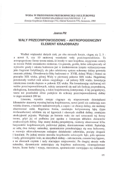 wały przeciwpowodziowe - antropogeniczny