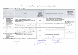 Plan działalności Sądu Rejonowego W Tomaszowie Lubelskim na