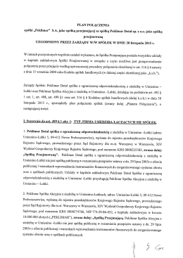 PLAN POŁĄCZENIA