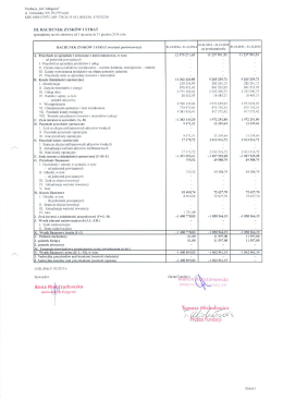 Rachunek zysków i strat 2014