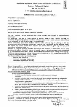 plantacjom pszenicy ozimej zagraża pryszczarek zbożowiec