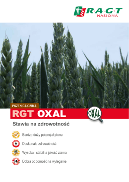 RGT OXAL - RAGT Semences