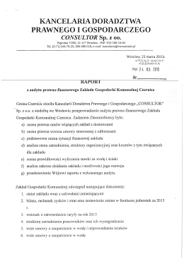 treść raportu pdf