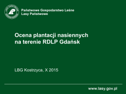 Ocena plantacji nasiennych na terenie RDLP Gdańsk