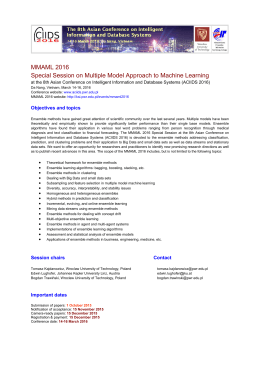 call for papers in pdf - Department of Information Systems