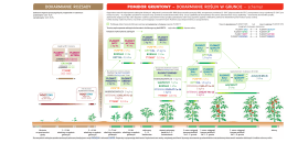 program nawożenia do pobrania w formacie pdf