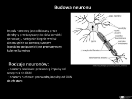 Materiały - choroby neurodegeneracyjne i demielinizacyjne