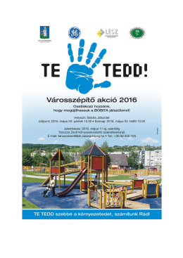 TeTedd! - Városszépítő akció 2016