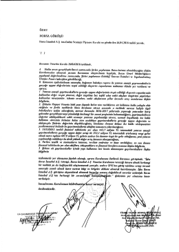 İzahname &Ouml;zeti