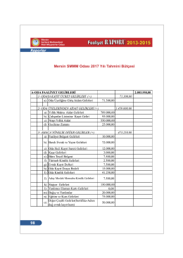 Mersin SMMM Odası 2017 Yılı Tahmini Bütçesi