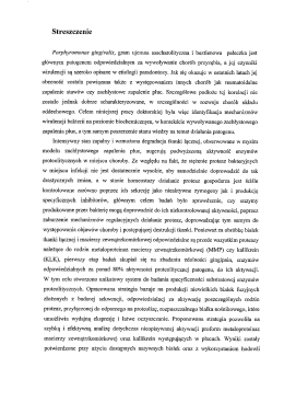 Streszczenie