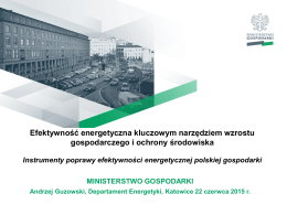 Andrzej Guzowski - Departament Energetyki, Ministerstwo Gospodarki