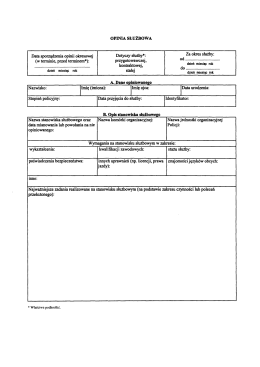 Wz&oacute;r formularza opinii służbowej