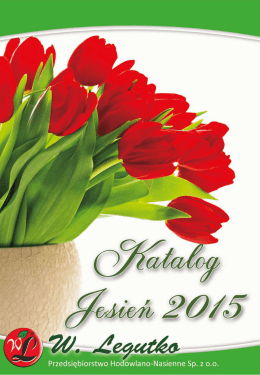 katalog "Cebule i kłącza