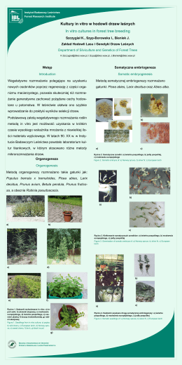 Kultury in vitro w hodowli drzew leśnych In vitro cultures in forest tree