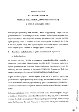 PLAN PoDziAŁU E-coMMERcE sERVIcEs