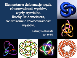 Katarzyna Kukuła, Teoria węzłów