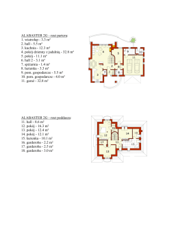 ALABASTER 2G - rzut parteru: 1. wiatrołap - 3.3 m² 2. hall