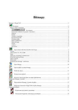 Bitmapy - InfoProg