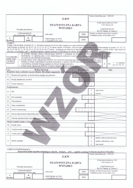 STATYSTYCZNA KARTA WYPADKU