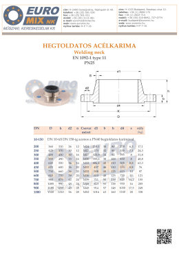 HEGTOLDATOS ACÉLKARIMA Welding neck