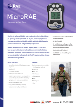 MicroRAE Kablosuz 4-Gaz Ölçer Veri Sayfası