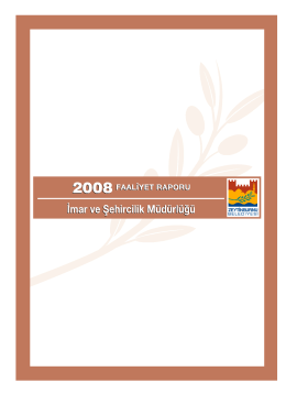 2008 Yılı Faaliyet Raporu