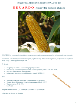Kukurydza siewna 2016 charakterystyka odmian