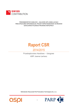 Strategia CSR - 2014