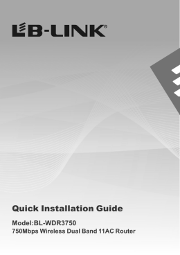 Quick Installation Guide