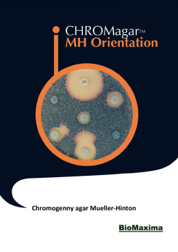 CHROMagar MH Orientation