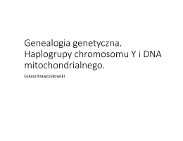 Genealogia genetyczna. Haplogrupy chromosomu Y i DNA