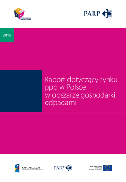 Raport dotczący rynku ppp w Polsce w obszarze gospodarki