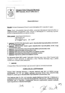 Egyéni választókerületi képviselő