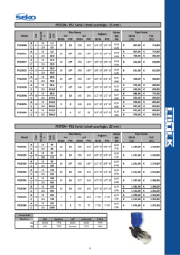 Sayfa 08-Seko Spring Serisi Pistonlu Dozaj Pompalari - PS1