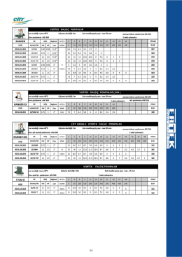 Sayfa 54-Citypumps RANGER - TITAN Serisi Dalgic Atiksu Pompalar