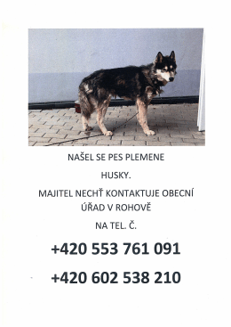 Page 1 NA&Scaron;EL SE PES PLEMENE HUSKY. MAJITEL NECHŤ