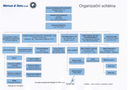 Organizační schéma