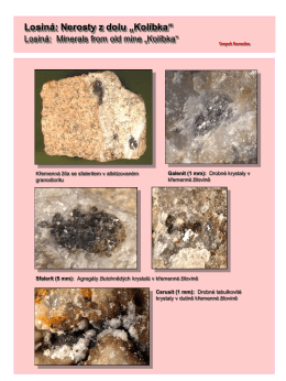 mineralizace