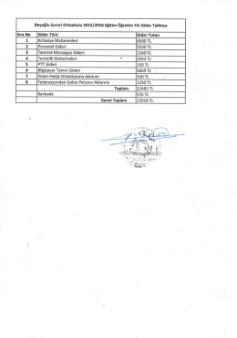 Okulumuzun 2015-2016 Eğitim Öğretim Yılı gider