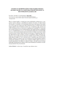 Page 1 SAĞLIKLI VE METRİTİSLİ SIĞIR UTERUS