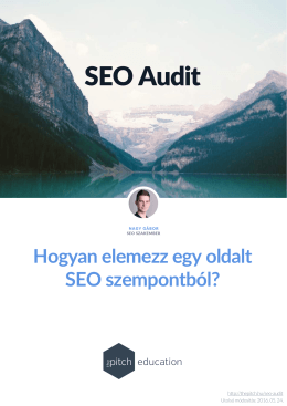 SEO Audit - The Pitch