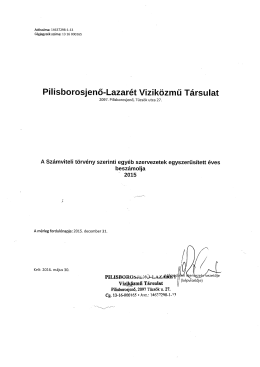 2015-ös mérleg - Lazarét Víziközmű Társulat